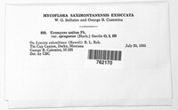 Image Associated With the Occurence